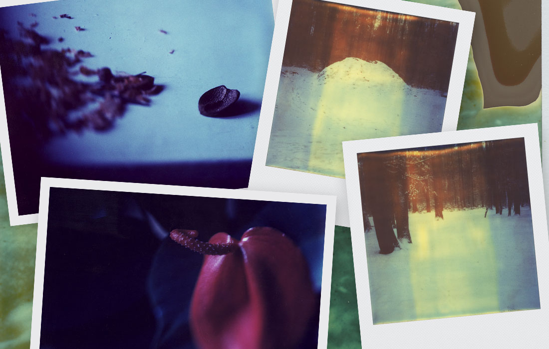 polanoid
